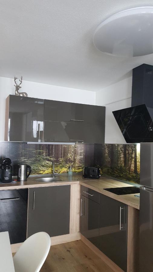 Ferienwohnung Mit Blick In Den Bayrischen Wald Oberhalb Von Sankt Engelmar Санкт Енглмар Екстериор снимка