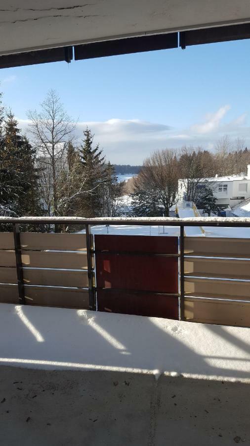 Ferienwohnung Mit Blick In Den Bayrischen Wald Oberhalb Von Sankt Engelmar Санкт Енглмар Екстериор снимка