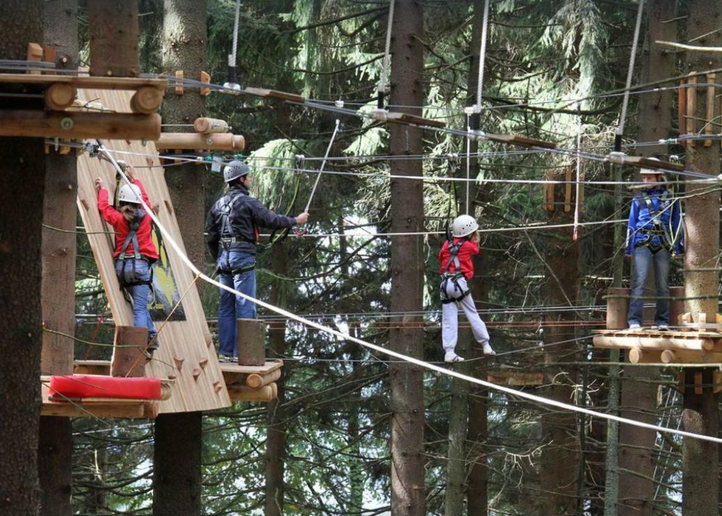 Ferienwohnung Mit Blick In Den Bayrischen Wald Oberhalb Von Sankt Engelmar Санкт Енглмар Екстериор снимка